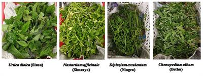 Antioxidant Potential of Selected Wild Edible Leafy Vegetables of Sikkim Himalayan Region: Effects of Cooking Methods and Gastrointestinal Digestion on Activity